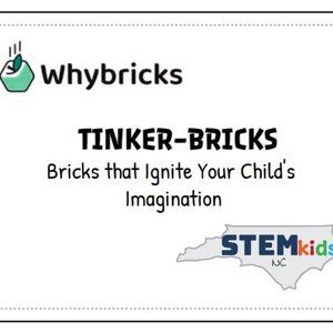 Tinker Bricks - Ignite Your Engineer's Imagination! - Catapult, Bridge, Fidget